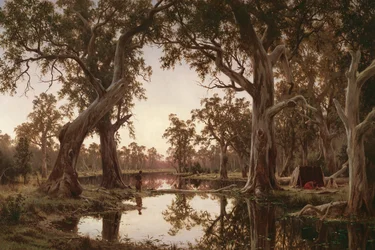 Evening shadows, backwater of the Murray, South Australia